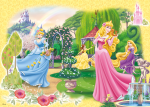 17193C_Disney-Princess_100_1