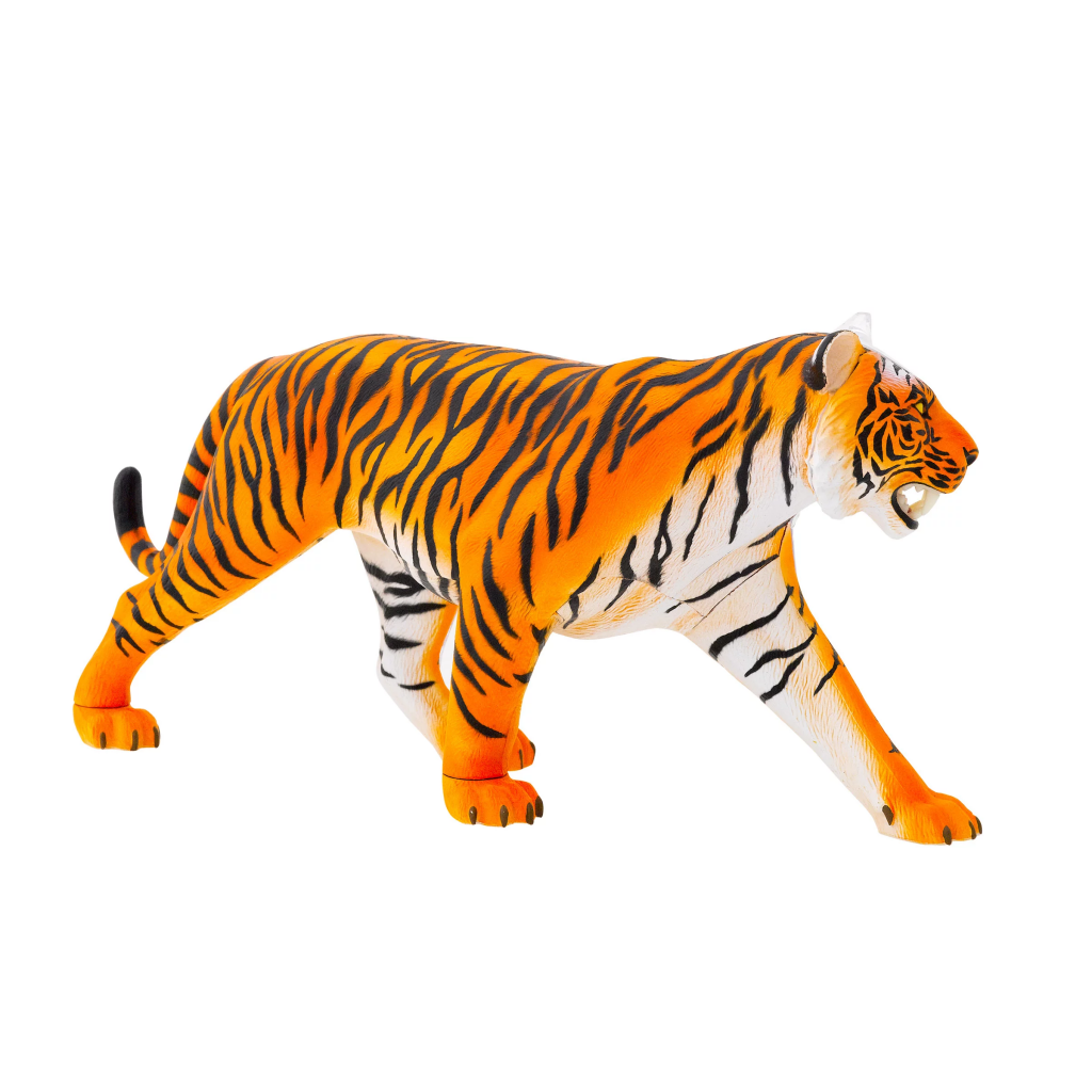 Tiger Anatomy Model Nordic Games